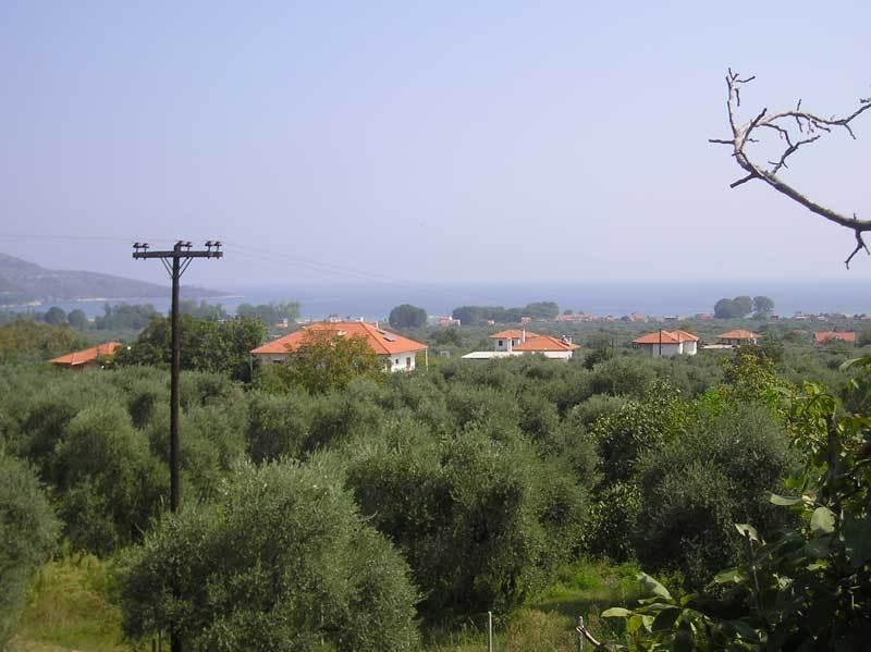 Hotel Irini Σκάλα Ποταμιάς Εξωτερικό φωτογραφία